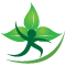 Recovery Hope Treatment